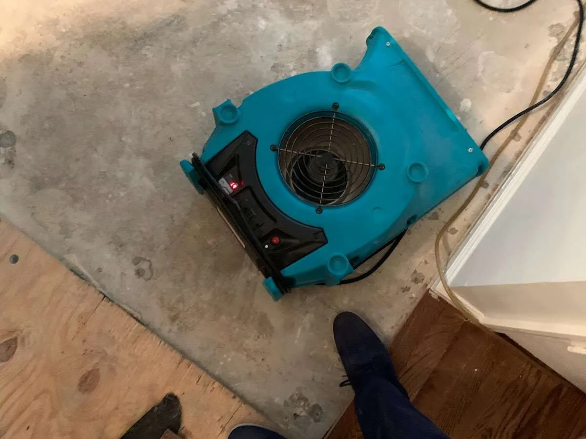 Air mover drying subfloor during Leak Detection & Repair in Dedham